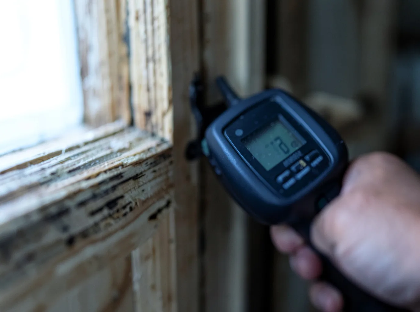 Ceiling Water Damage Repair in Winter Garden, FL